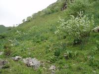 Youri - Ecrins 2005 314 